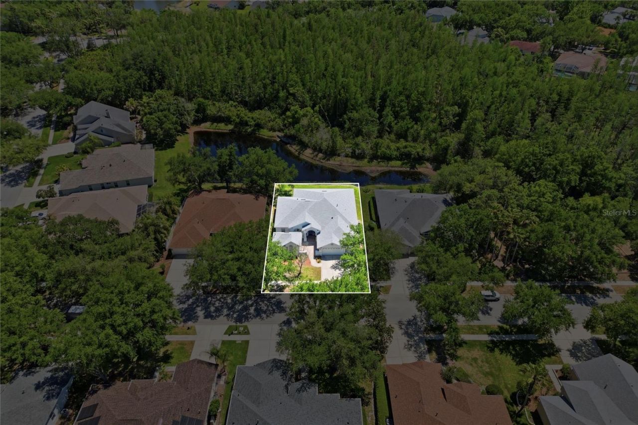 10206 Shadow Branch Drive, Tampa, FL 33647 Photo