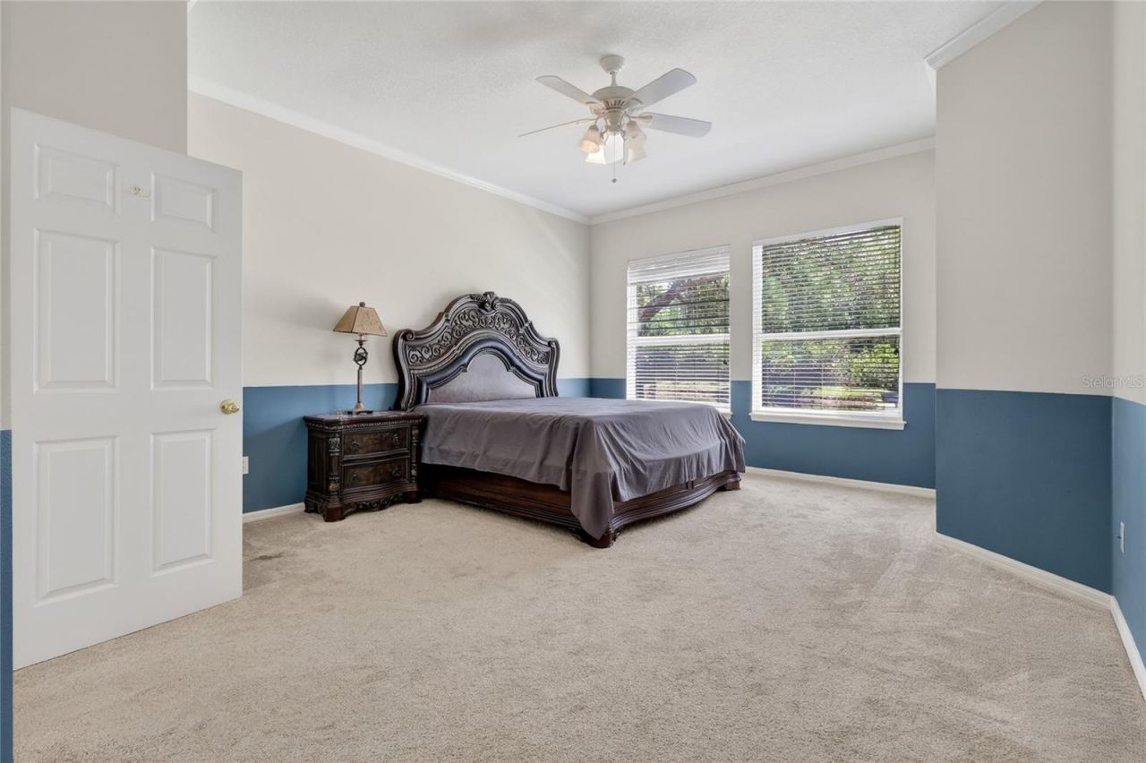 10206 Shadow Branch Drive, Tampa, FL 33647 Photo