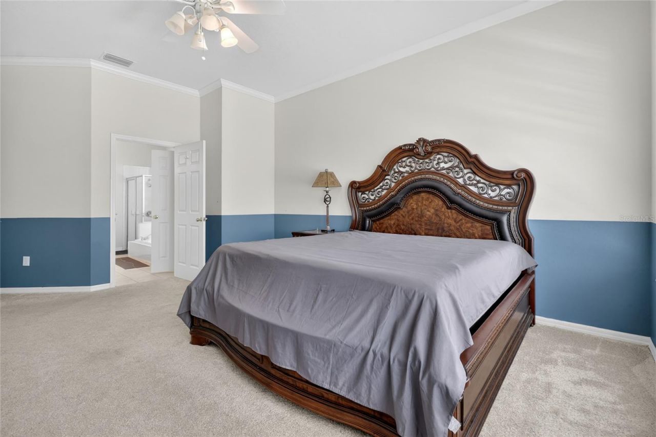 10206 Shadow Branch Drive, Tampa, FL 33647 Photo