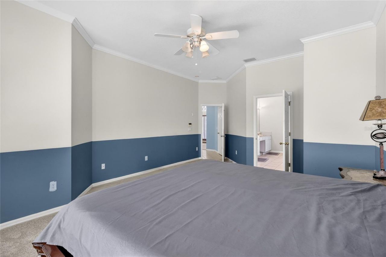 10206 Shadow Branch Drive, Tampa, FL 33647 Photo