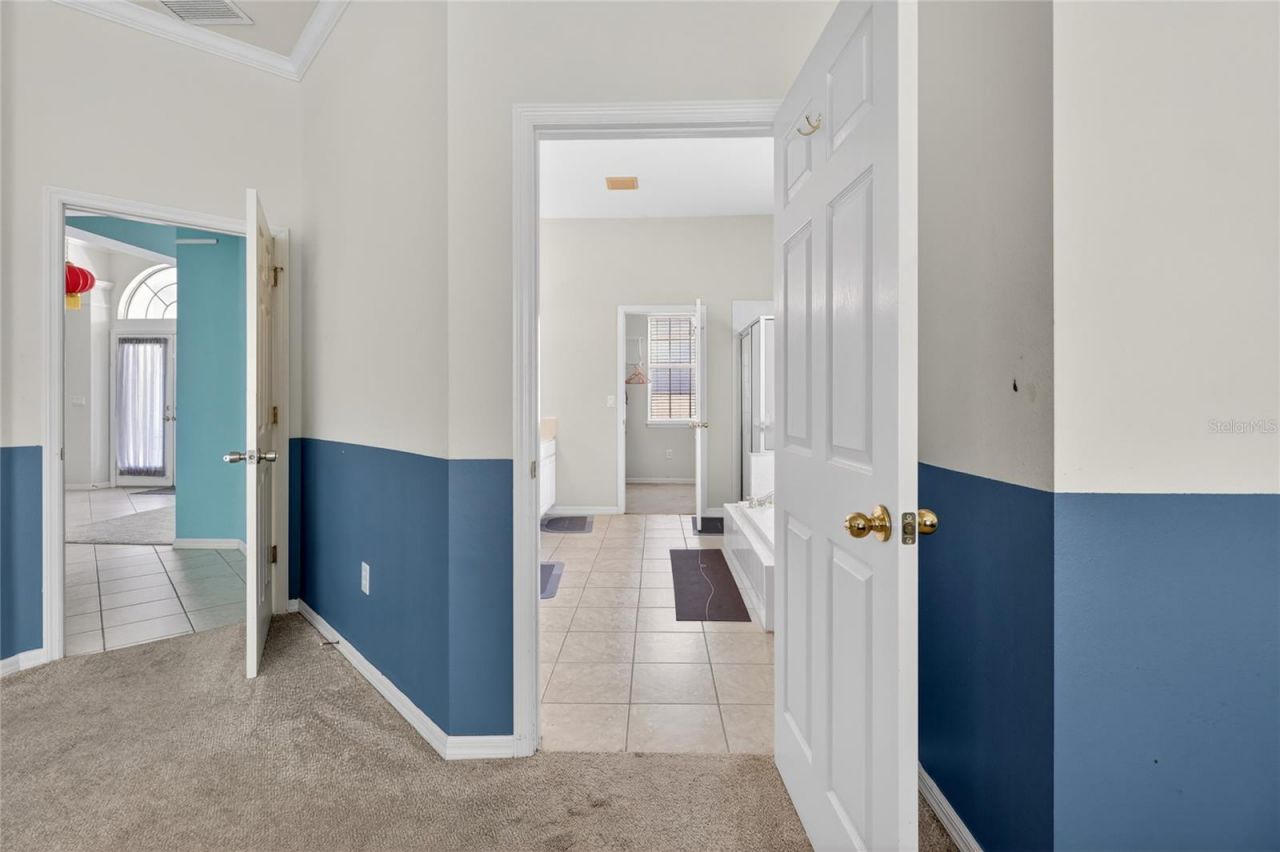10206 Shadow Branch Drive, Tampa, FL 33647 Photo