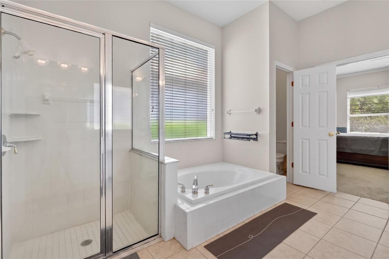 10206 Shadow Branch Drive, Tampa, FL 33647 Photo