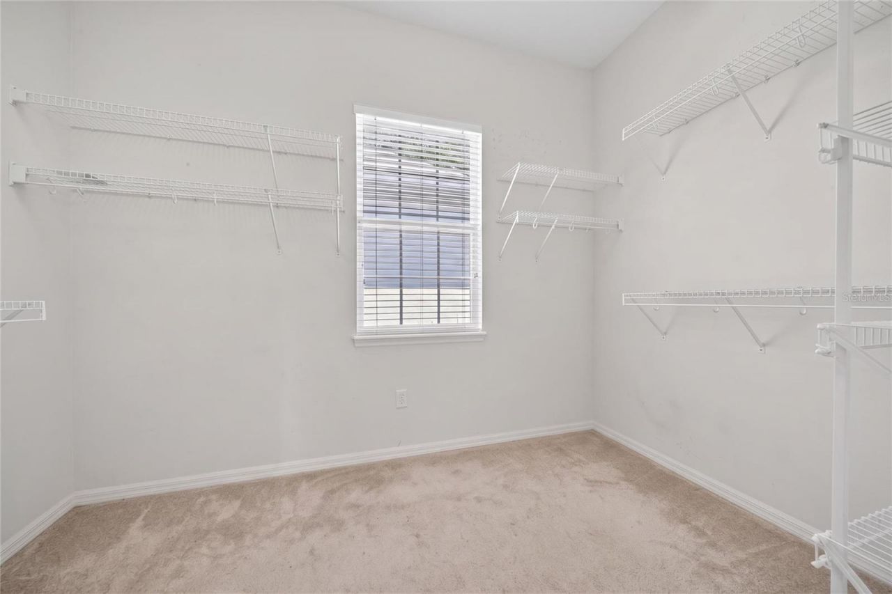 10206 Shadow Branch Drive, Tampa, FL 33647 Photo
