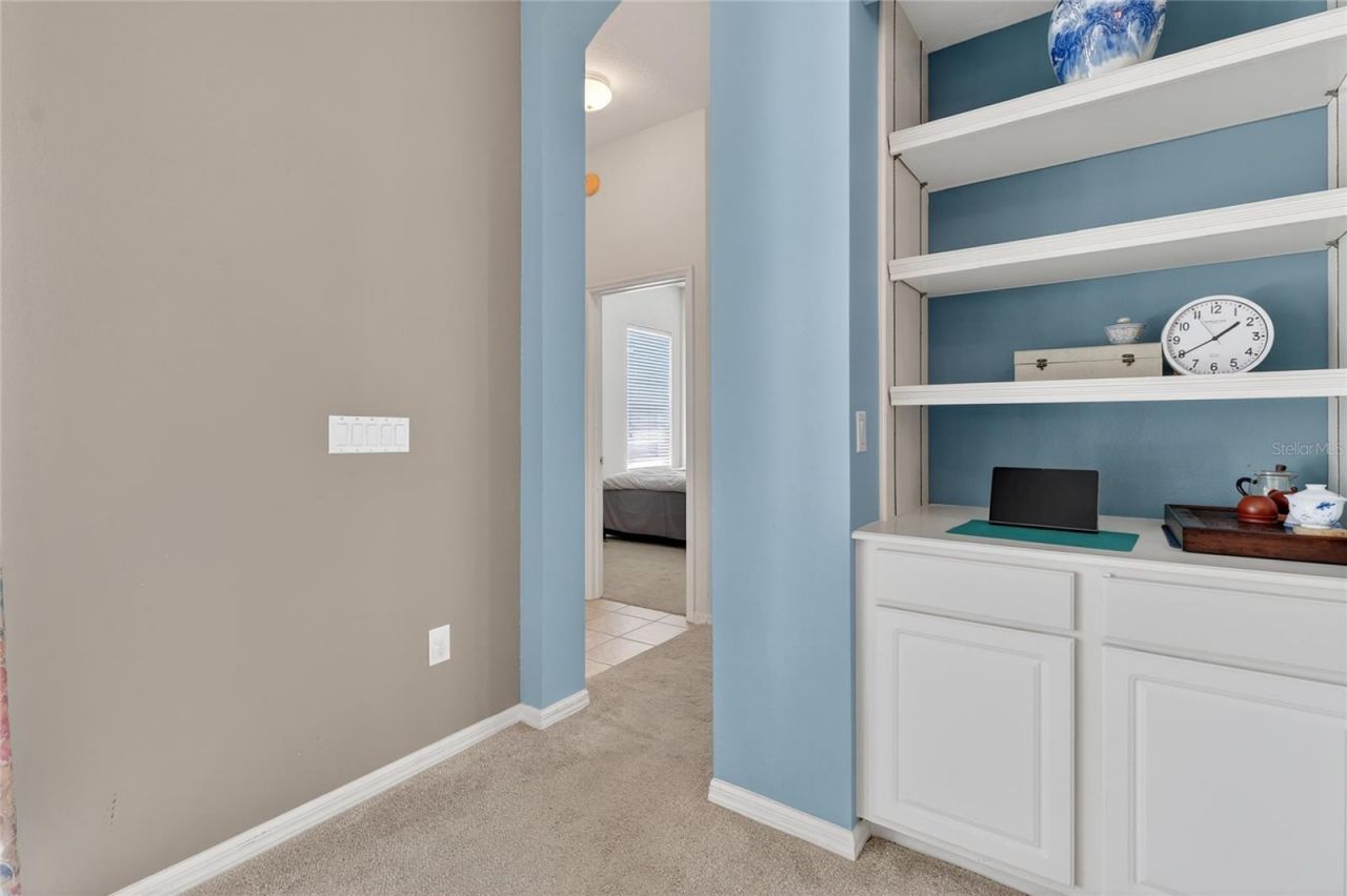 10206 Shadow Branch Drive, Tampa, FL 33647 Photo