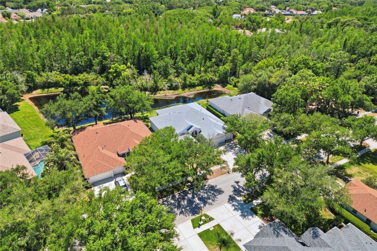 10206 Shadow Branch Drive, Tampa, FL 33647 Photo