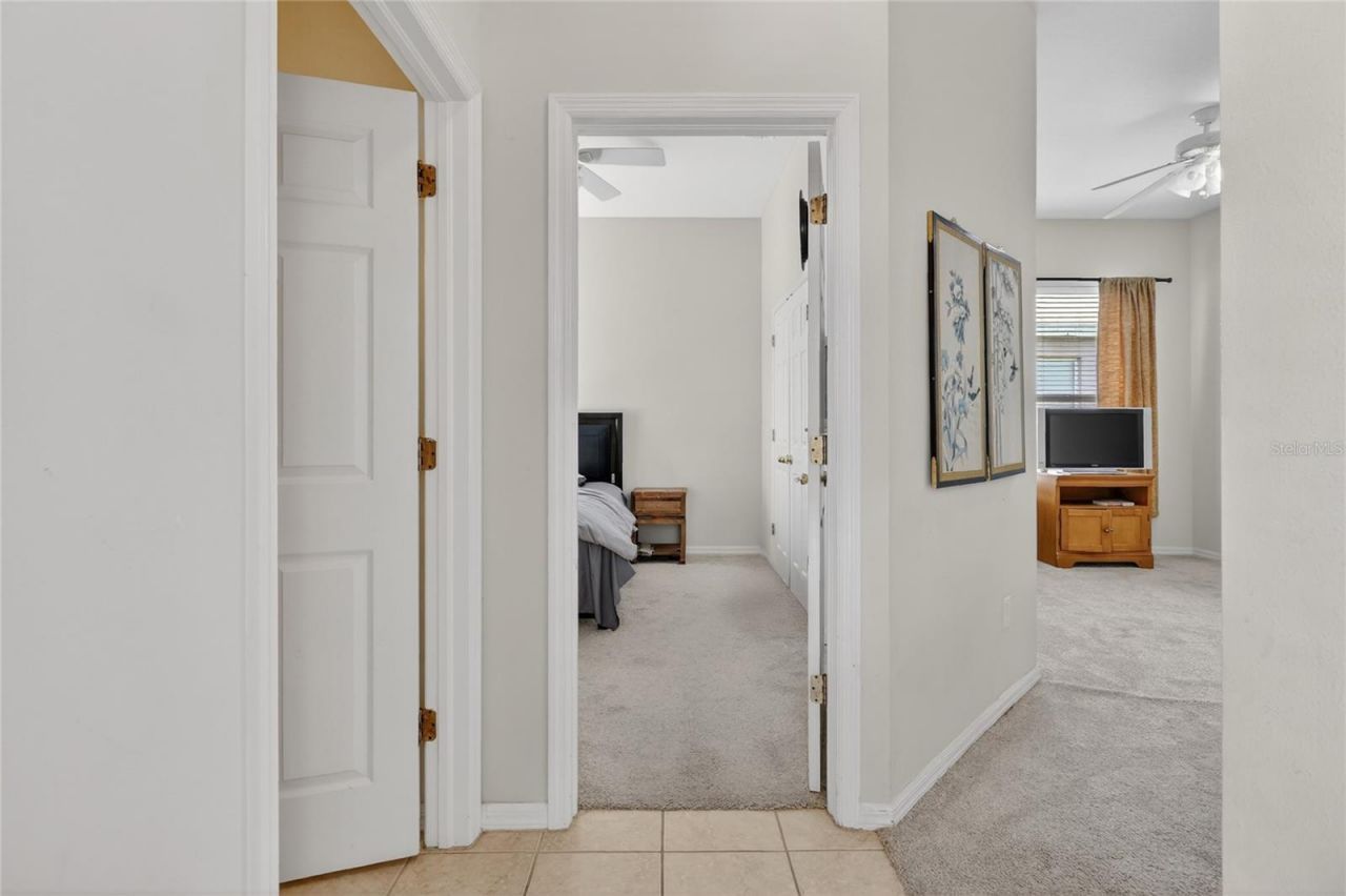 10206 Shadow Branch Drive, Tampa, FL 33647 Photo