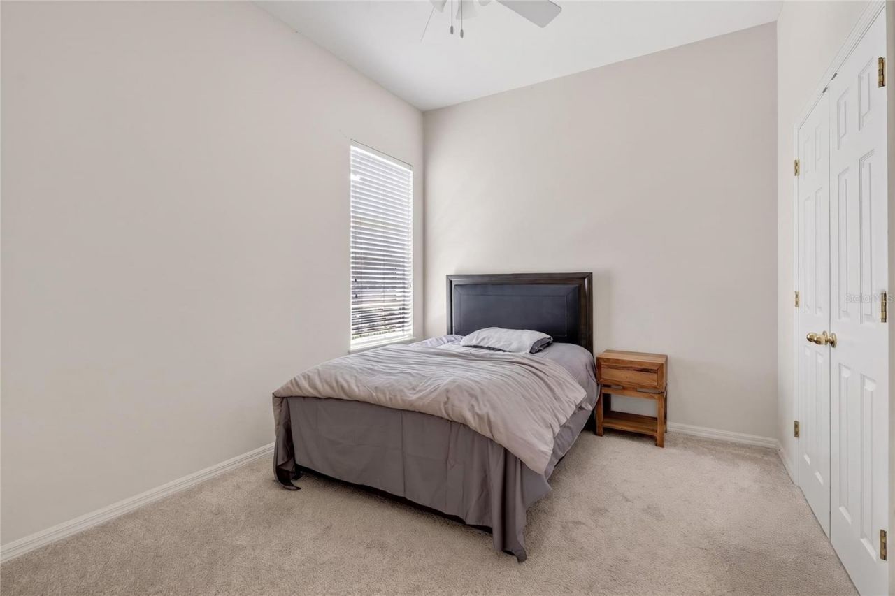 10206 Shadow Branch Drive, Tampa, FL 33647 Photo