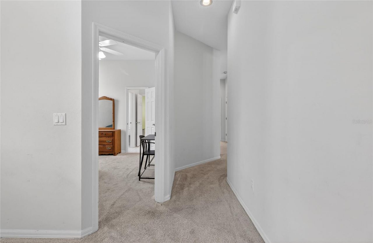 10206 Shadow Branch Drive, Tampa, FL 33647 Photo