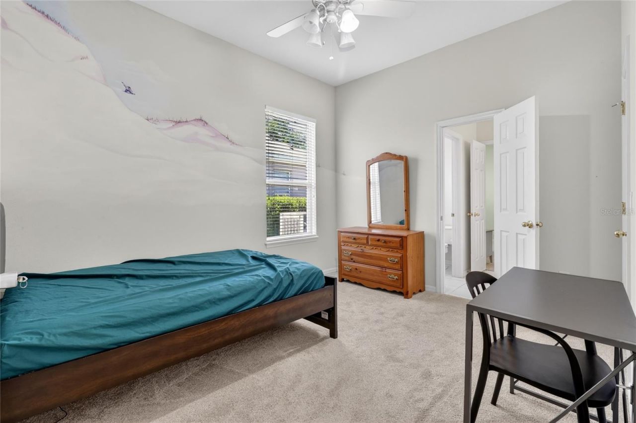 10206 Shadow Branch Drive, Tampa, FL 33647 Photo