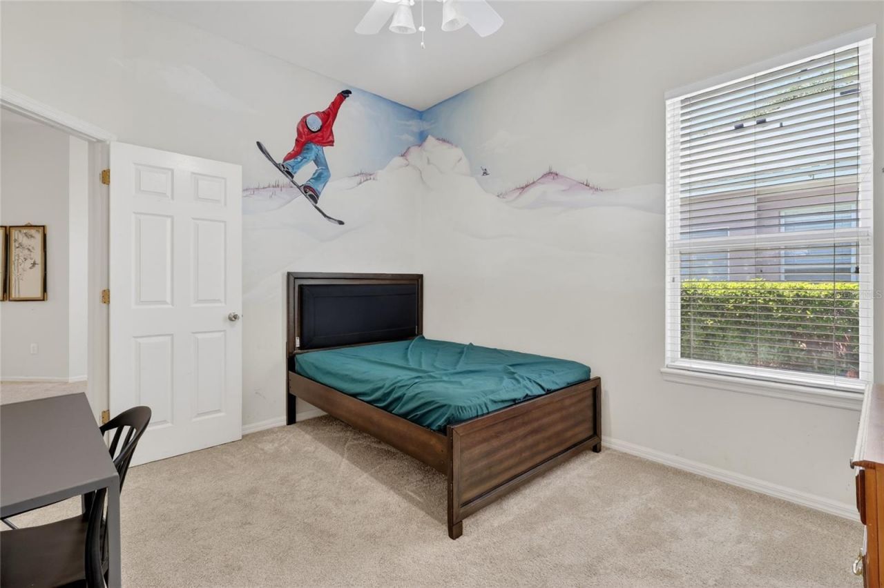 10206 Shadow Branch Drive, Tampa, FL 33647 Photo