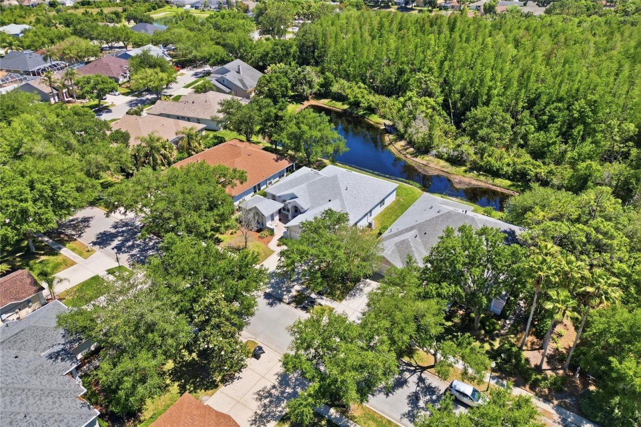 10206 Shadow Branch Drive, Tampa, FL 33647 Photo