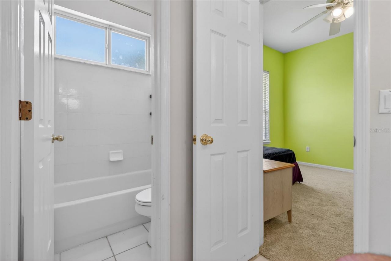 10206 Shadow Branch Drive, Tampa, FL 33647 Photo