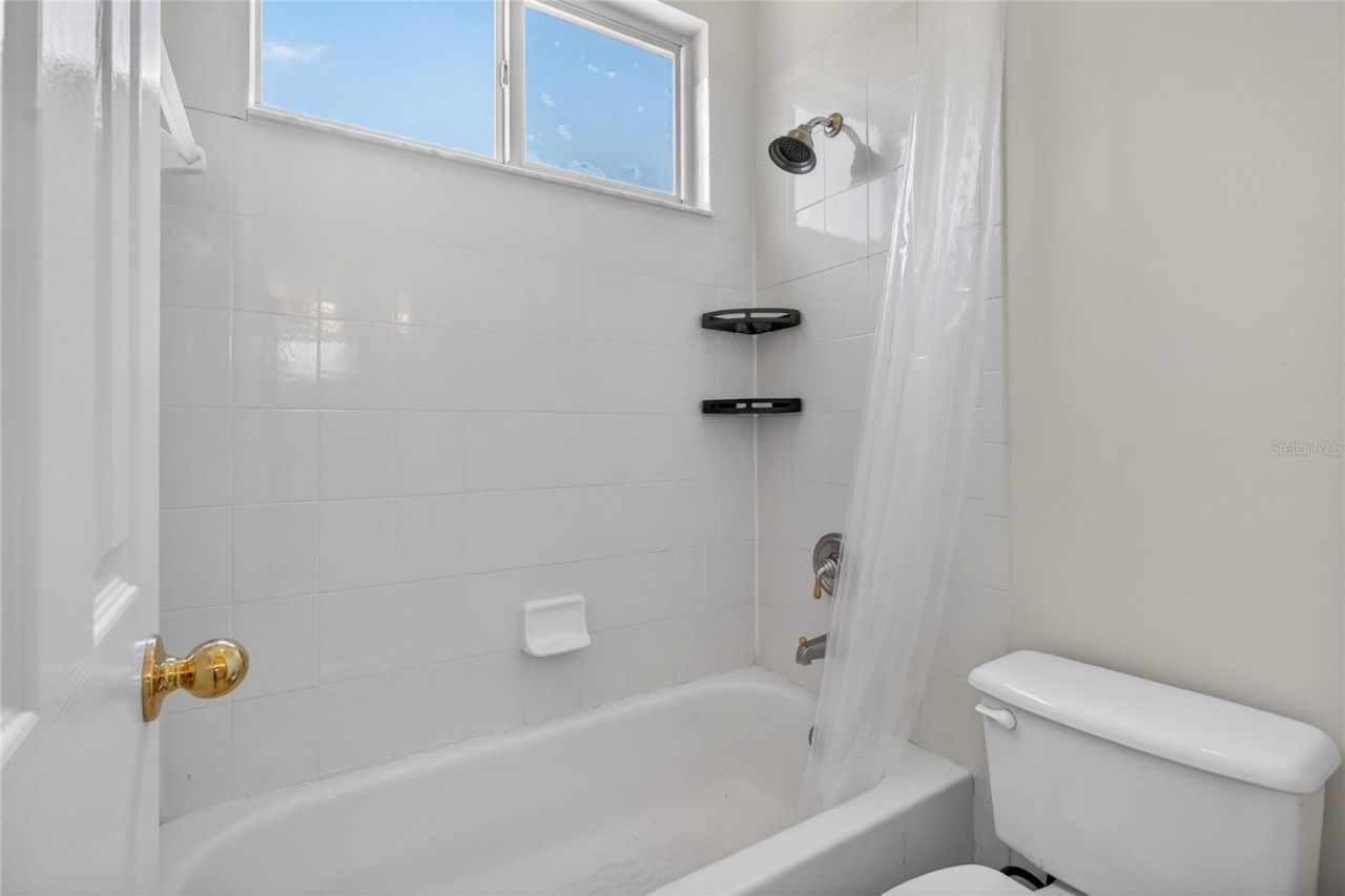 10206 Shadow Branch Drive, Tampa, FL 33647 Photo