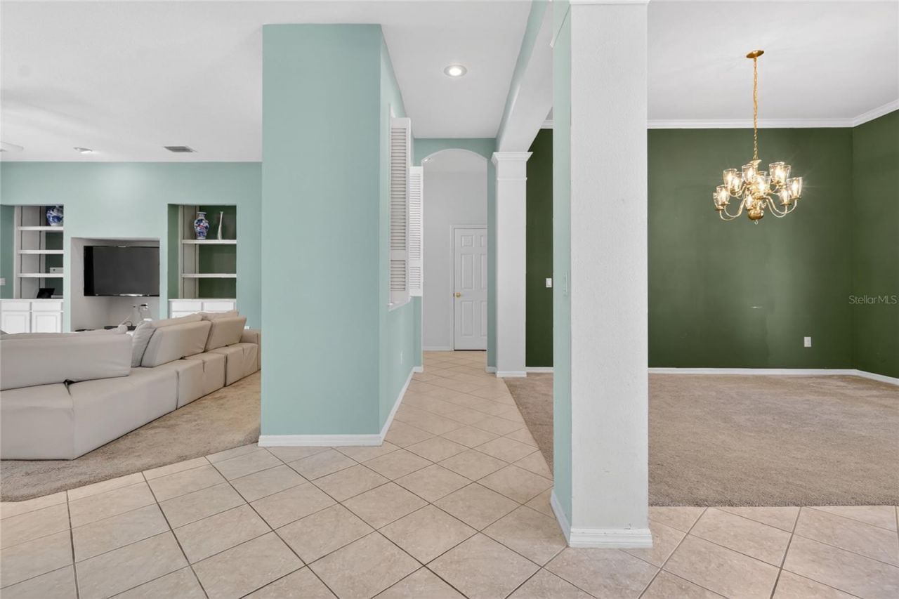 10206 Shadow Branch Drive, Tampa, FL 33647 Photo