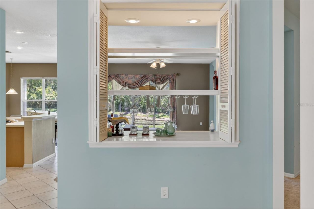 10206 Shadow Branch Drive, Tampa, FL 33647 Photo
