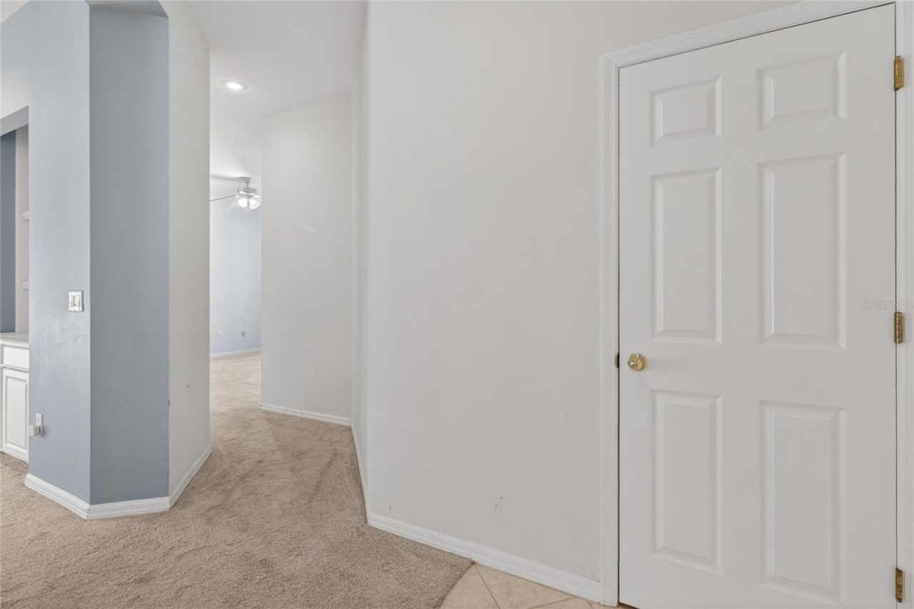 10206 Shadow Branch Drive, Tampa, FL 33647 Photo