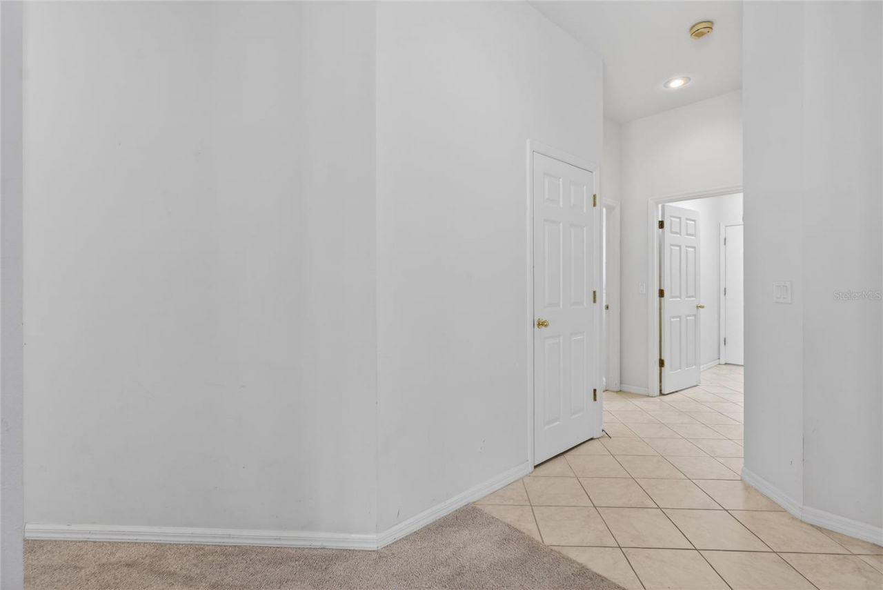 10206 Shadow Branch Drive, Tampa, FL 33647 Photo