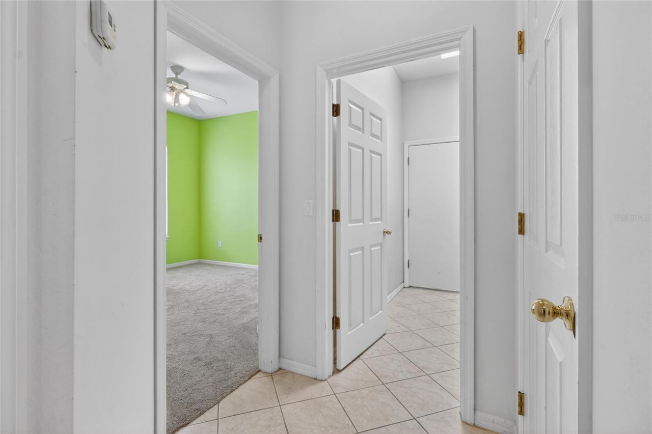10206 Shadow Branch Drive, Tampa, FL 33647 Photo