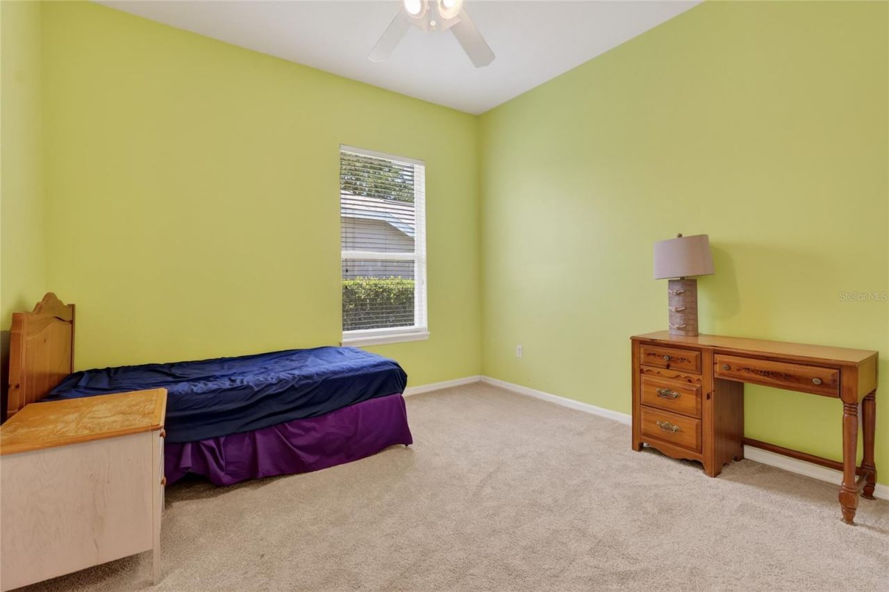 10206 Shadow Branch Drive, Tampa, FL 33647 Photo