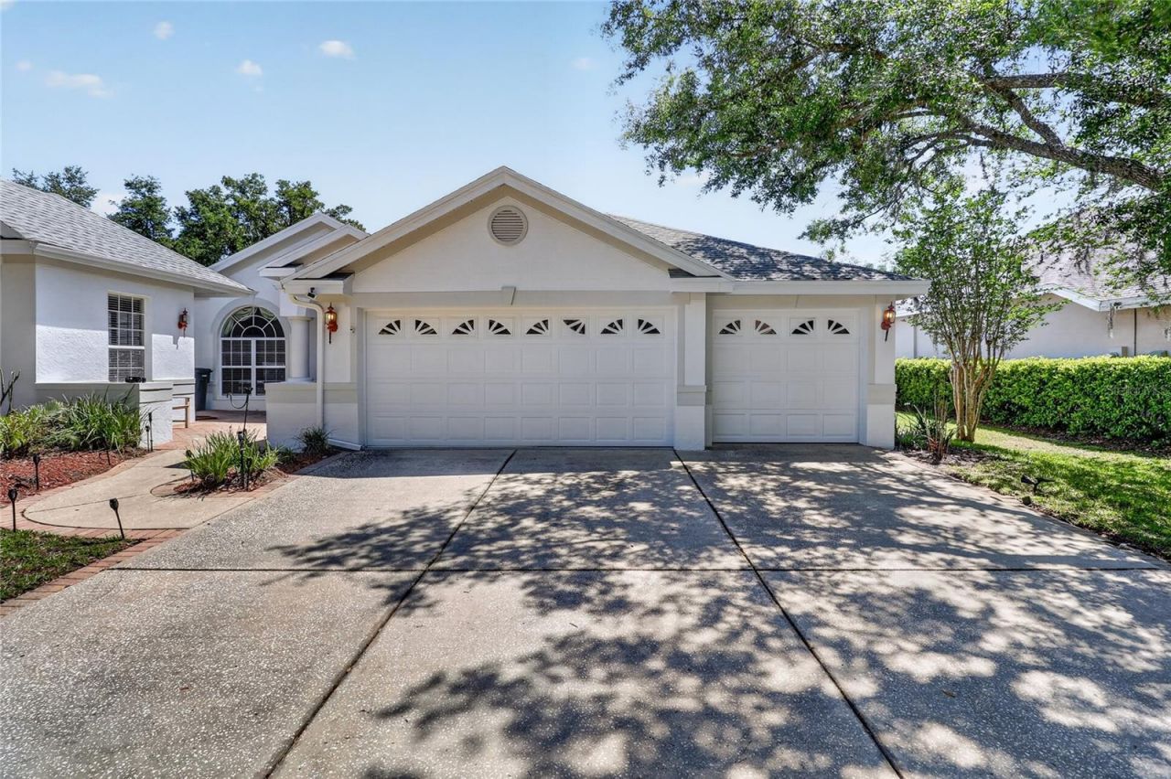 10206 Shadow Branch Drive, Tampa, FL 33647 Photo
