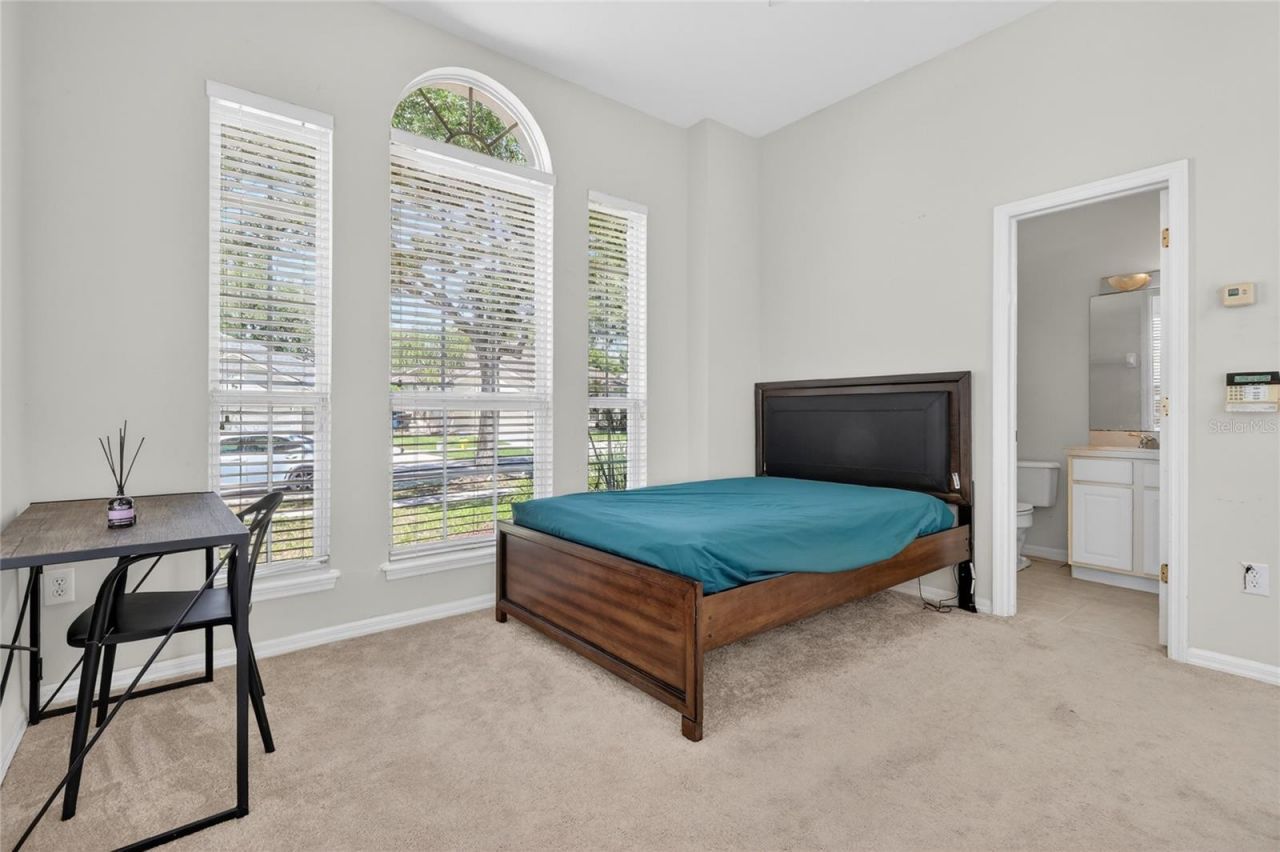 10206 Shadow Branch Drive, Tampa, FL 33647 Photo