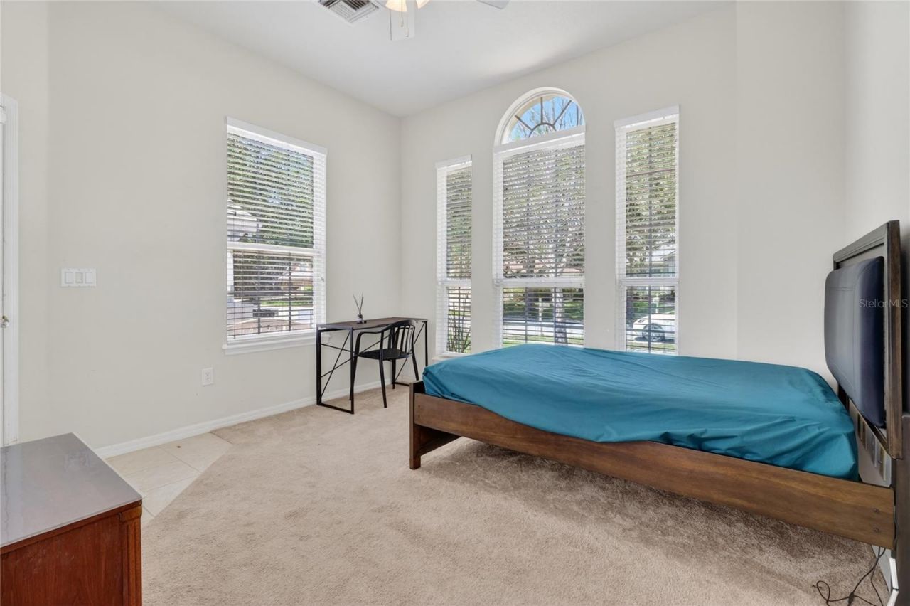 10206 Shadow Branch Drive, Tampa, FL 33647 Photo