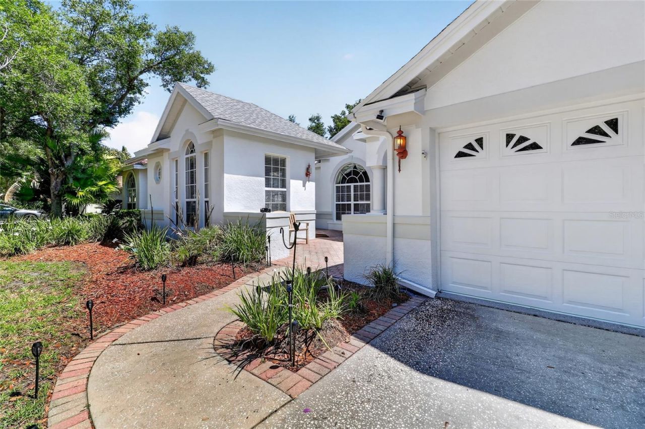 10206 Shadow Branch Drive, Tampa, FL 33647 Photo