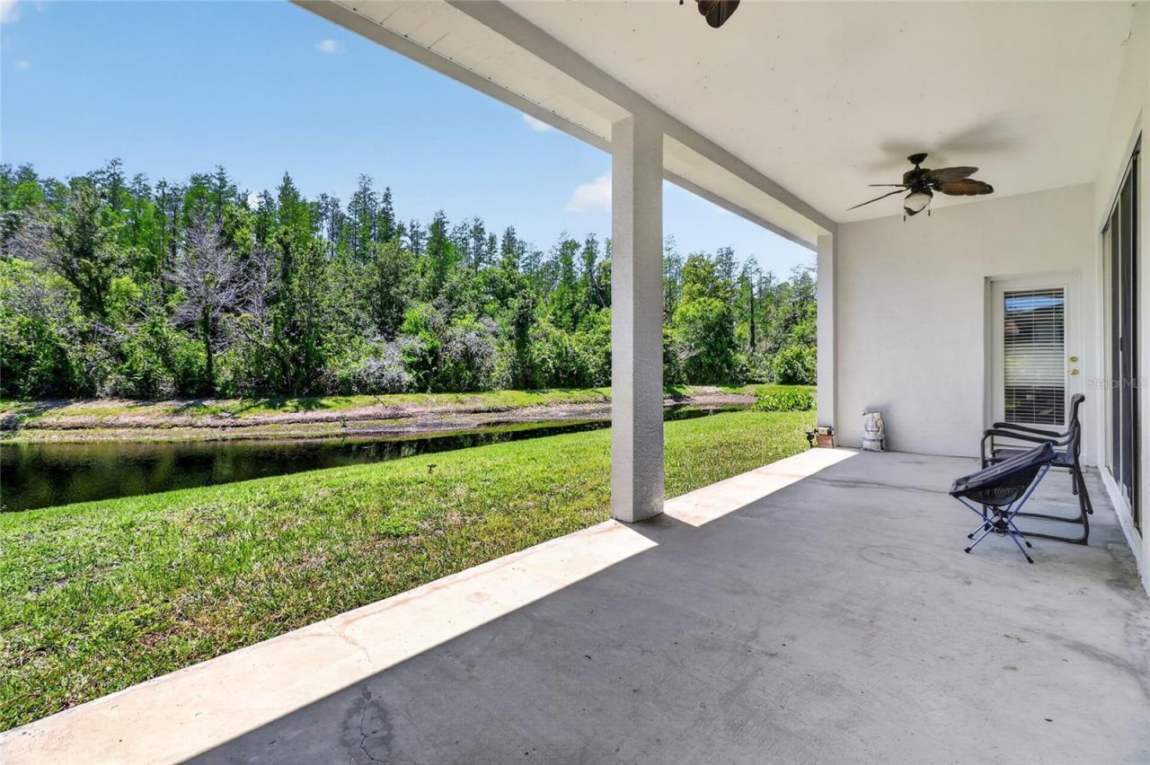10206 Shadow Branch Drive, Tampa, FL 33647 Photo