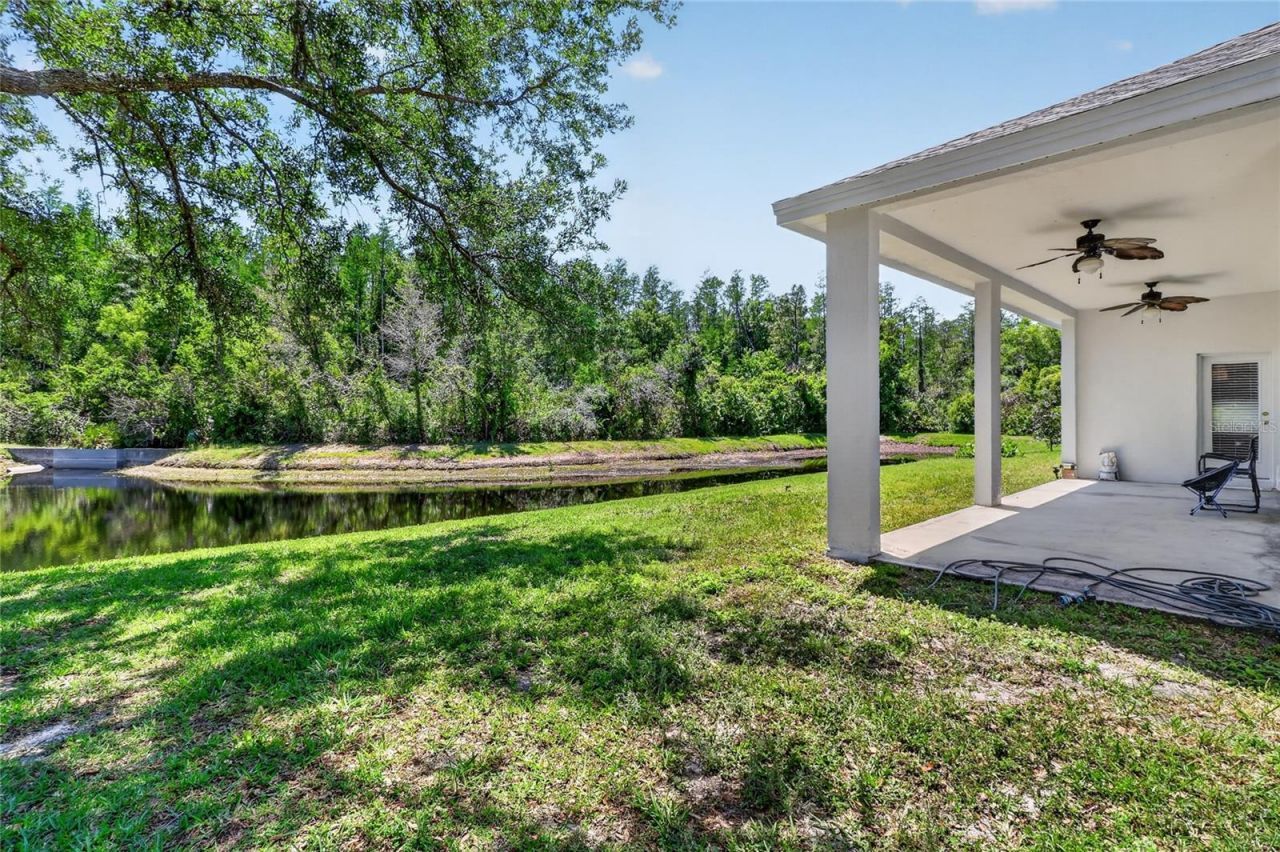 10206 Shadow Branch Drive, Tampa, FL 33647 Photo