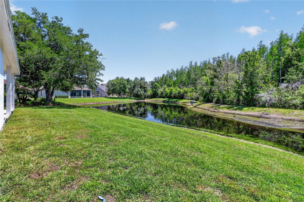 10206 Shadow Branch Drive, Tampa, FL 33647 Photo