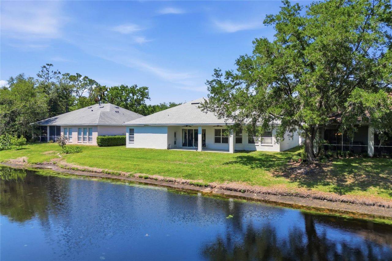 10206 Shadow Branch Drive, Tampa, FL 33647 Photo