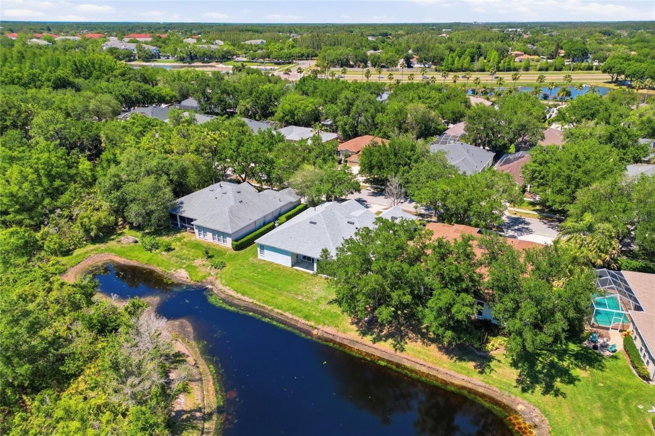 10206 Shadow Branch Drive, Tampa, FL 33647 Photo