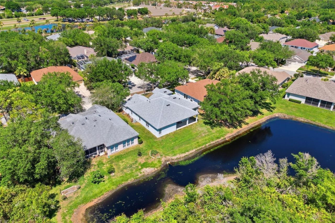 10206 Shadow Branch Drive, Tampa, FL 33647 Photo