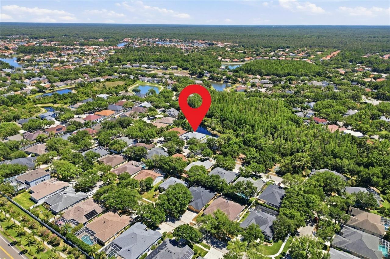 10206 Shadow Branch Drive, Tampa, FL 33647 Photo