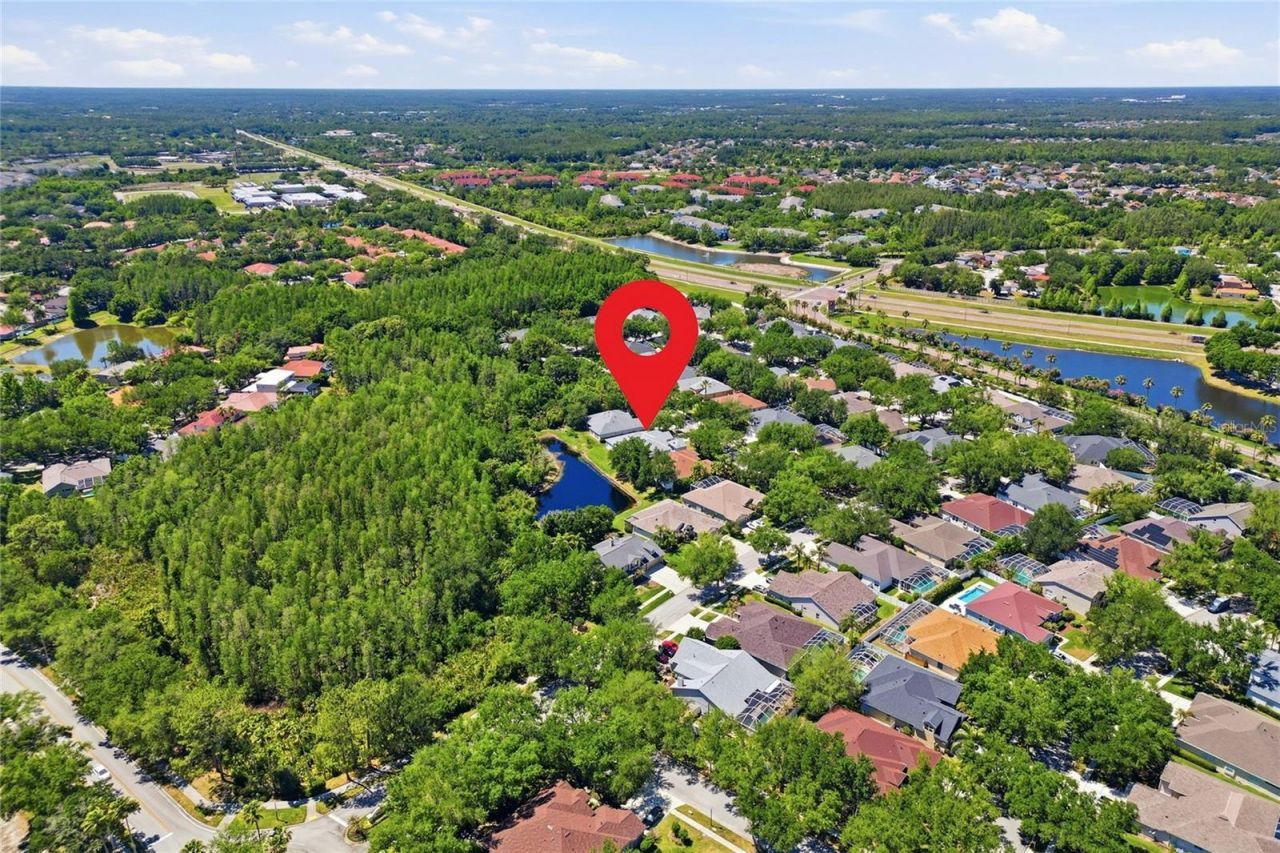 10206 Shadow Branch Drive, Tampa, FL 33647 Photo
