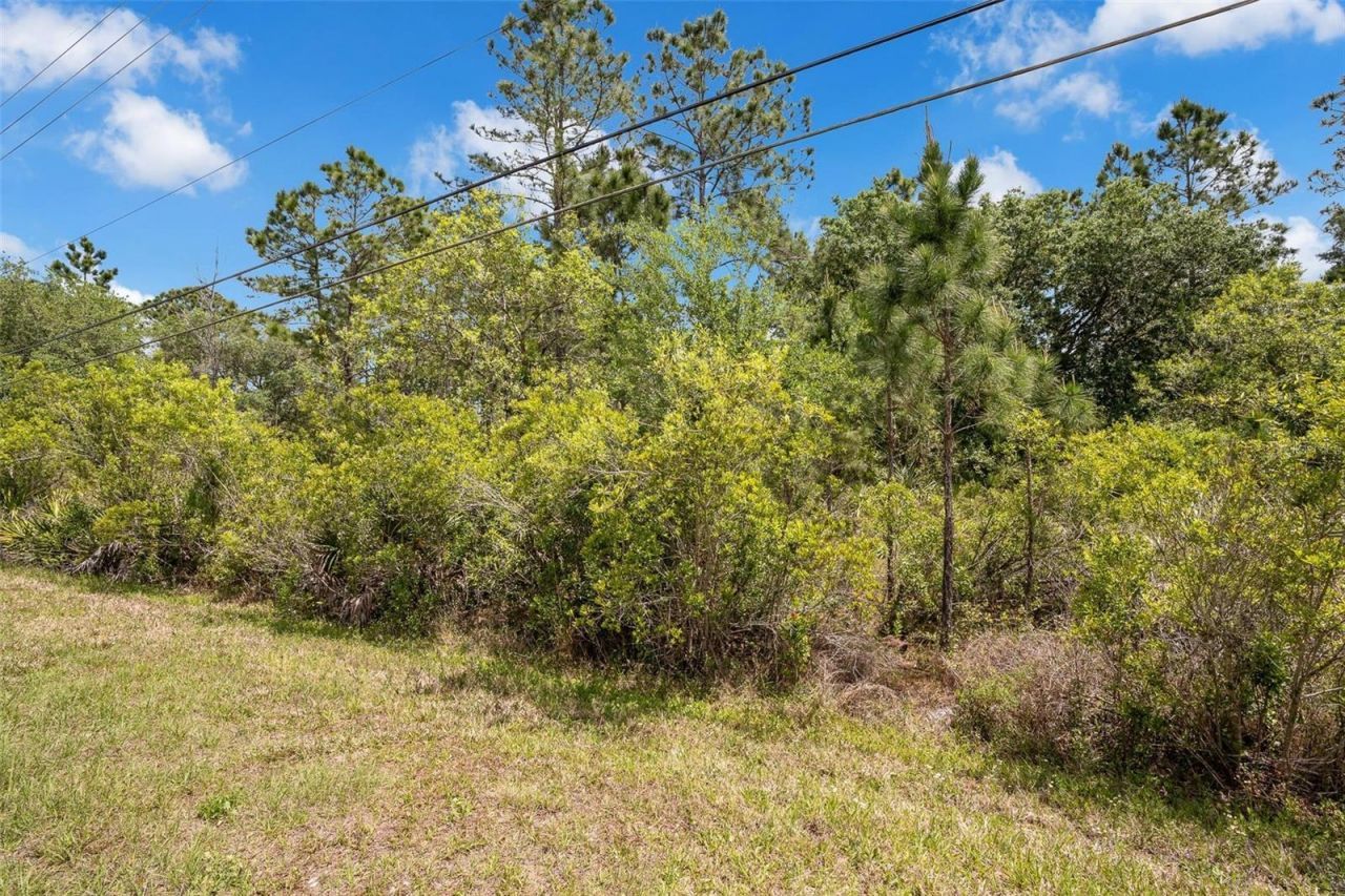 Caesar Ave , Orlando, FL 32833 Photo