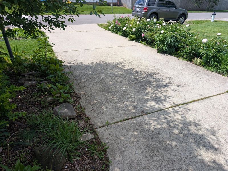 1738 Rhoda Avenue , Columbus, OH 43212 Photo 3