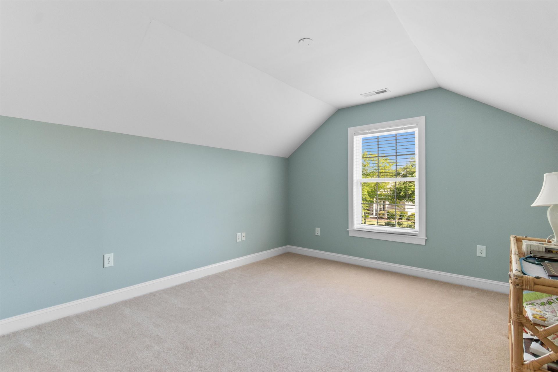 333 Green Creek Bay Circle  Photo 24