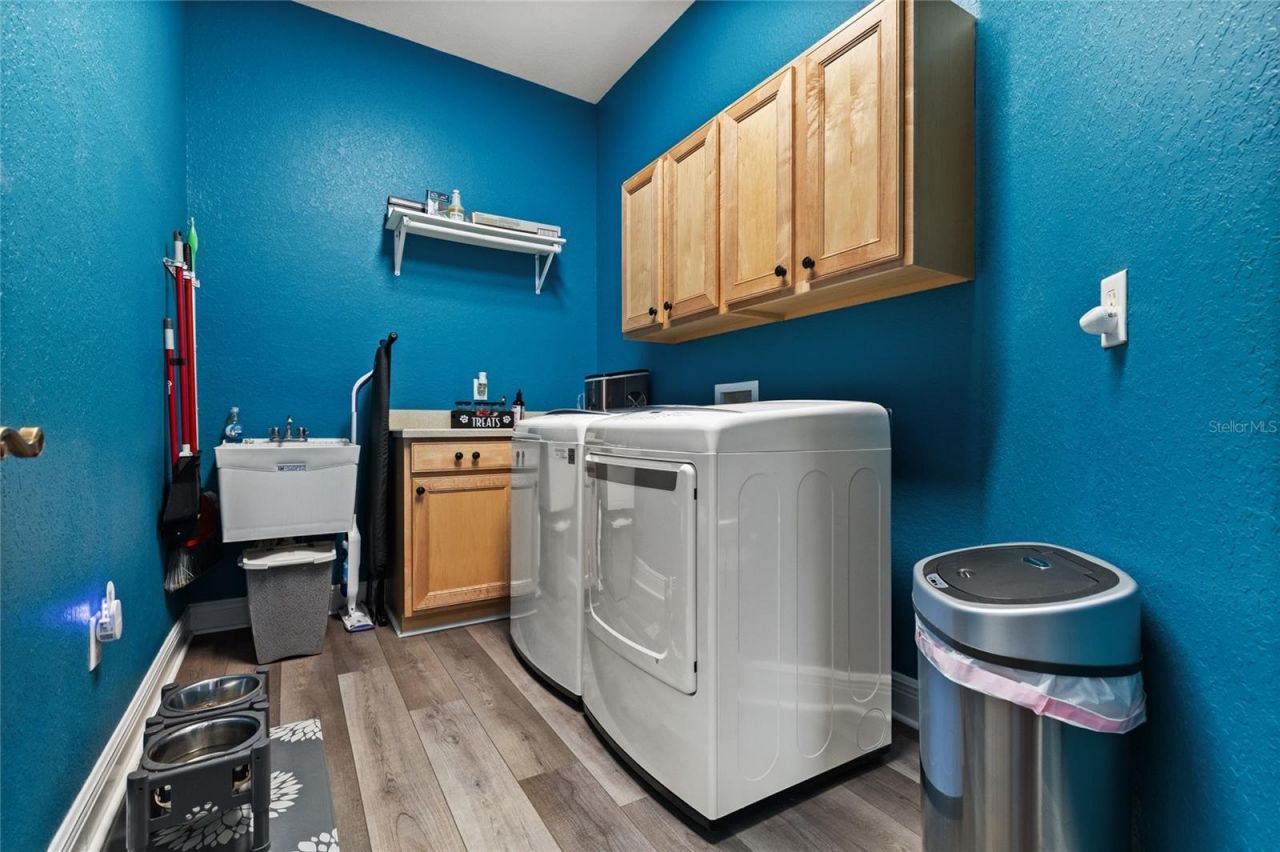 4708 Cypress Serenity De. Drive, Plant City, FL 33565 Photo