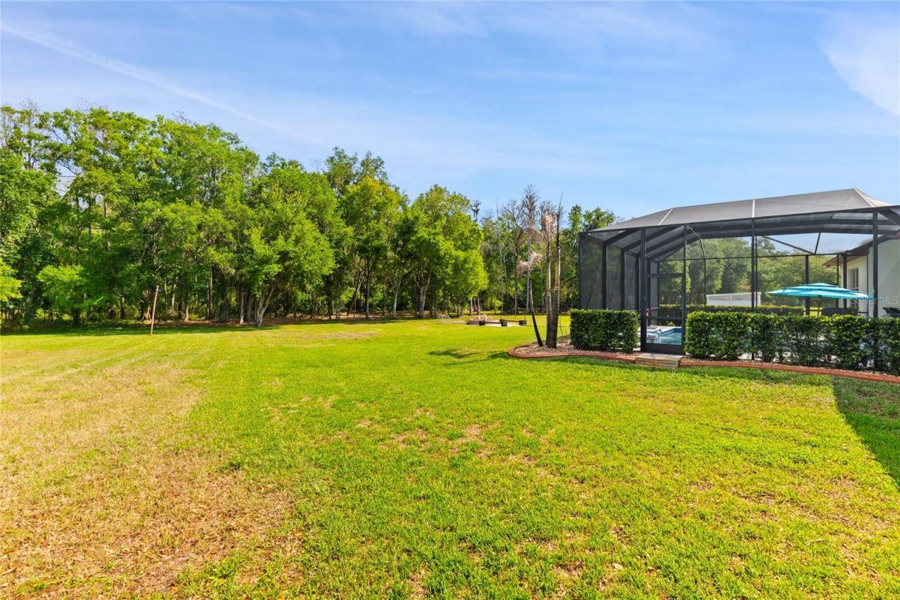 4708 Cypress Serenity De. Drive, Plant City, FL 33565 Photo