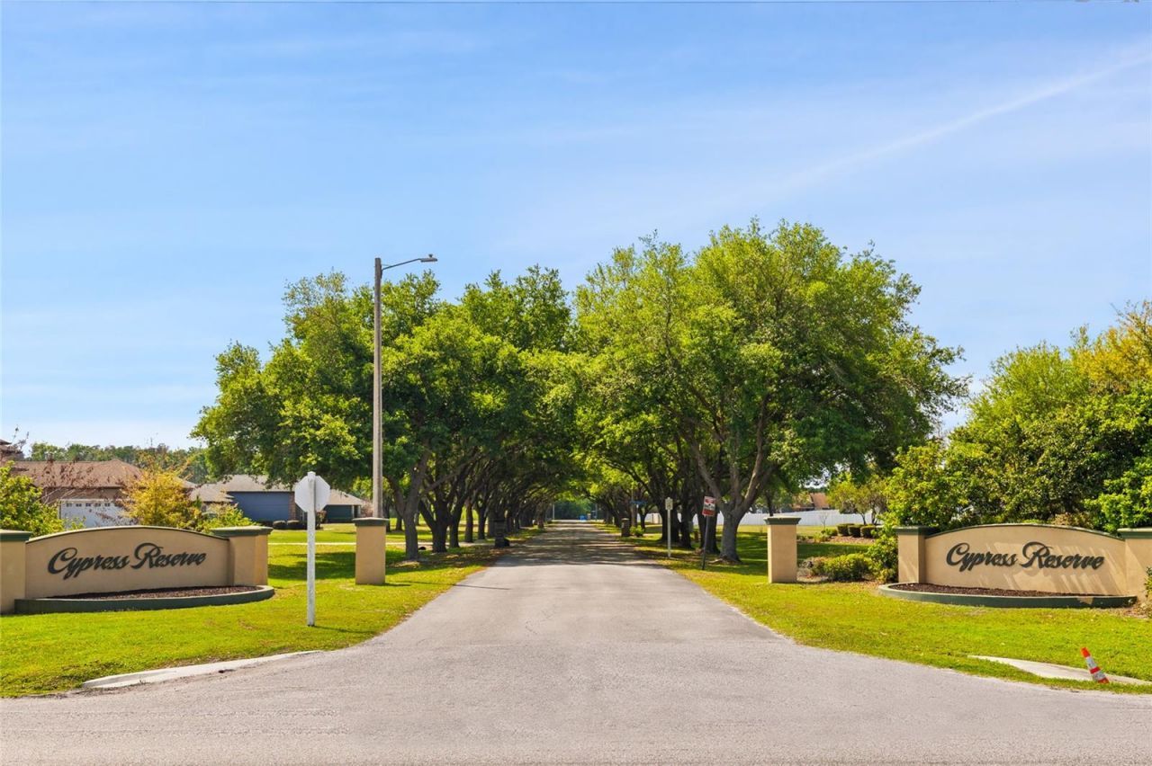 4708 Cypress Serenity De. Drive, Plant City, FL 33565 Photo