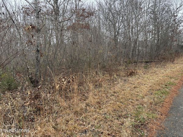 Everett Lane, Robbins, TN 37852