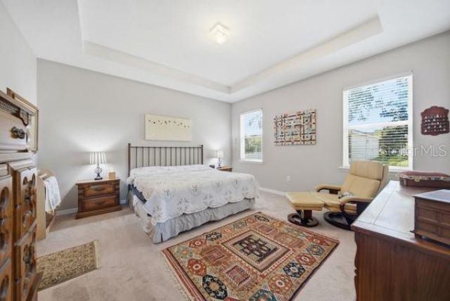 11215 Paradise Point Way, New Port Richey, FL 34654 Photo