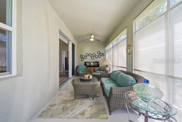 11215 Paradise Point Way, New Port Richey, FL 34654 Photo