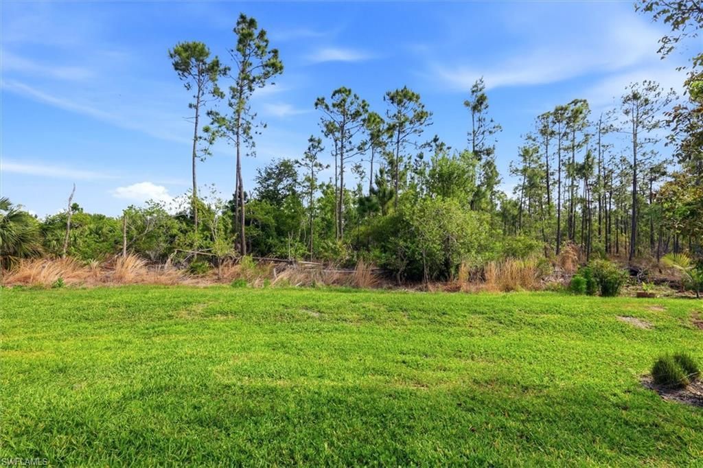 20579 Plumwood Loop , North Fort Myers, FL 33917 Photo