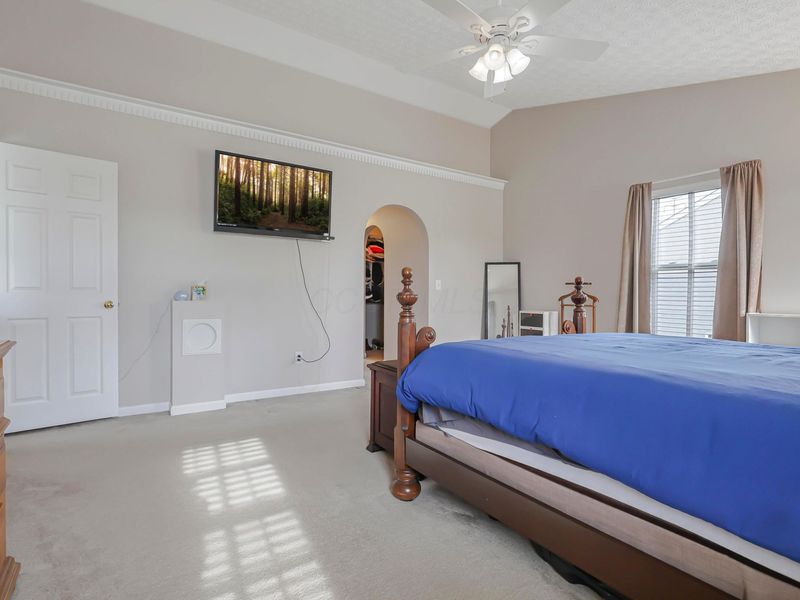 8227 Orange Station Loop, Lewis Center, OH 43035 Photo 29