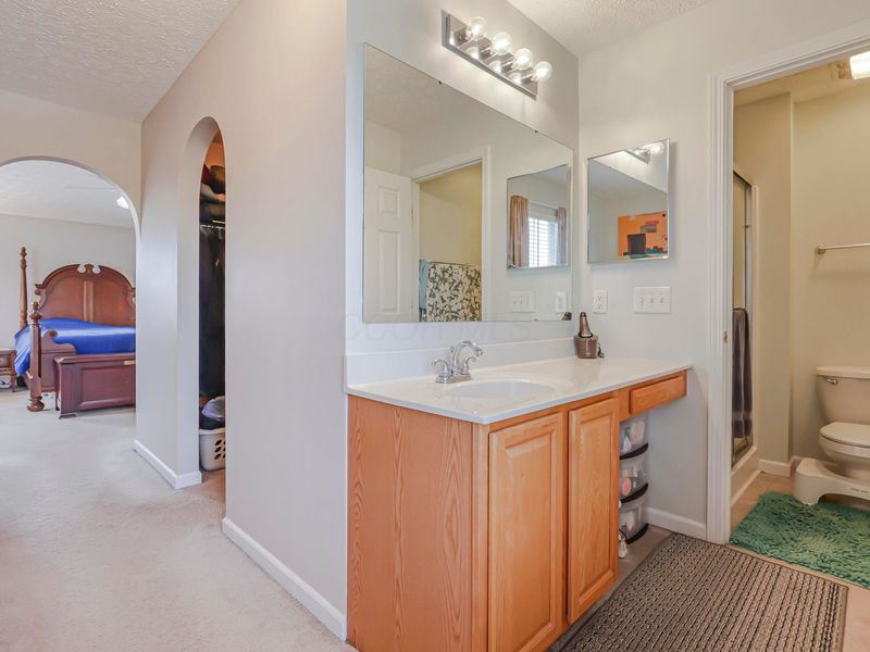 8227 Orange Station Loop, Lewis Center, OH 43035 Photo 32