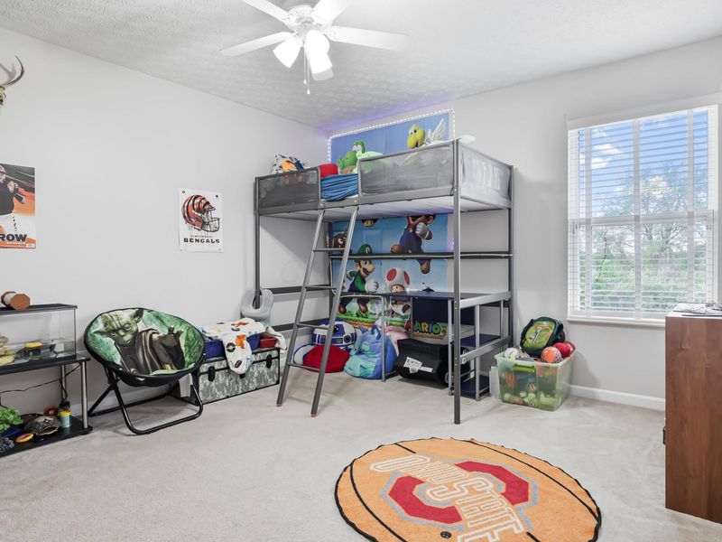 8227 Orange Station Loop, Lewis Center, OH 43035 Photo 40