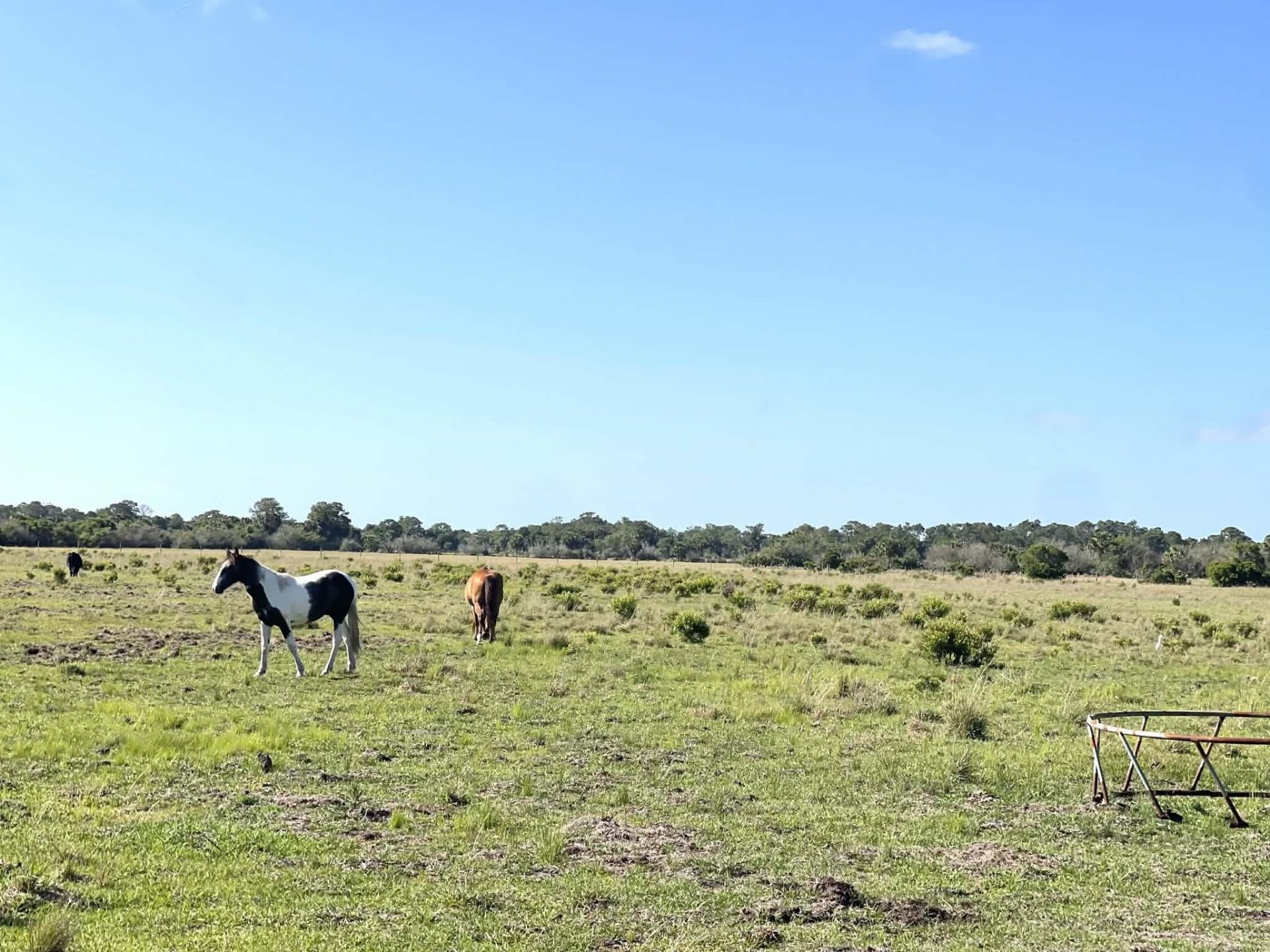 8121 NW 58th Lane, Okeechobee, FL 34972 Photo