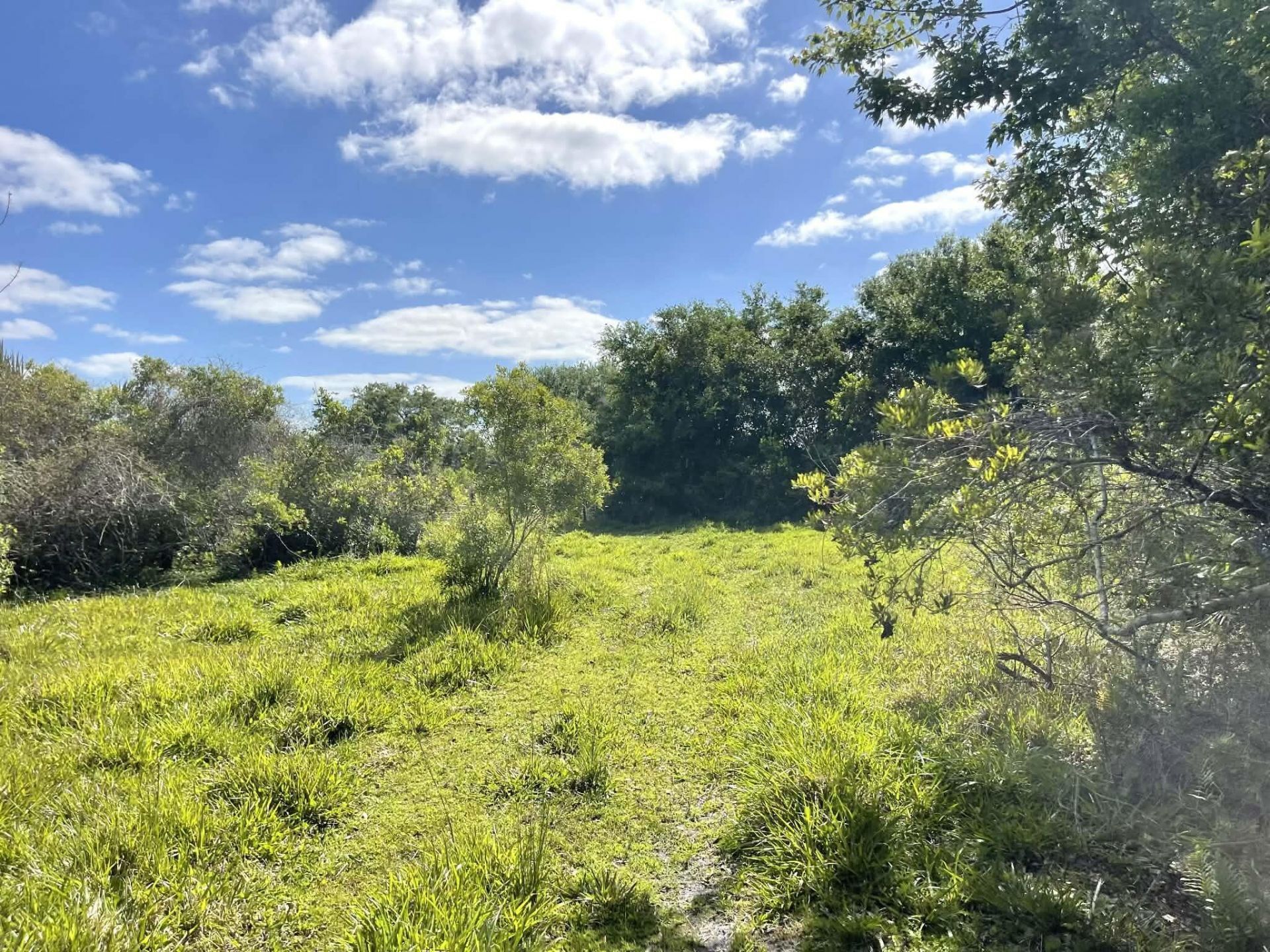 8121 NW 58th Lane, Okeechobee, FL 34972 Photo